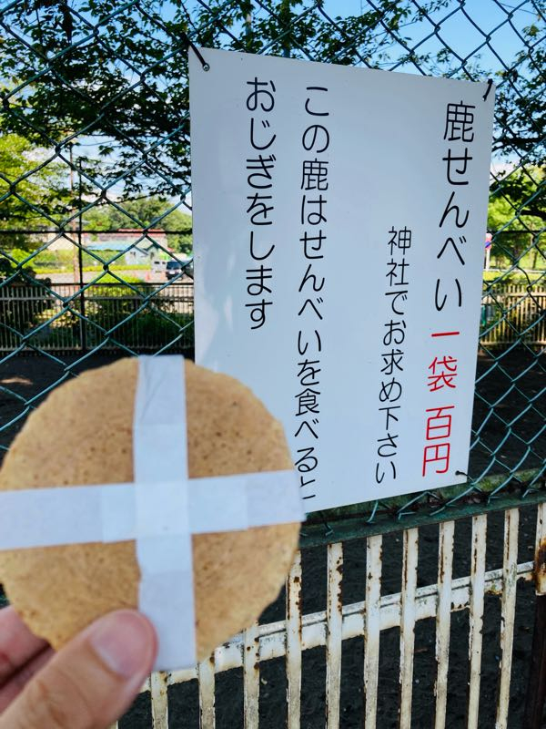 街角リポート - Fm yokohama 84.7 : しかし！鹿！