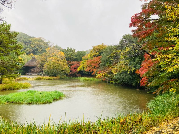 街角リポート - Fm yokohama 84.7 : 紅葉スポット！称名寺！