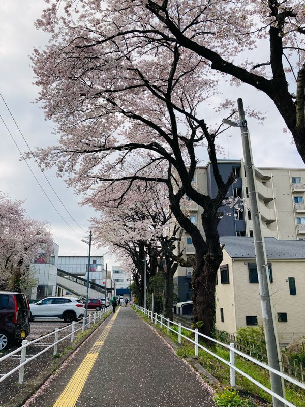 街角リポート - Fm yokohama 84.7 : やや曇り、座間！