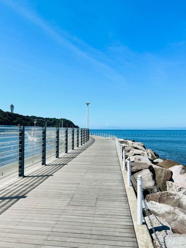 雨上がりのマジョール広場の片隅 アップリンク京都 on X: 