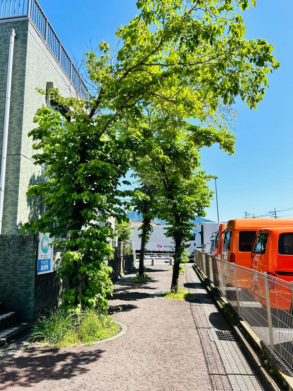 青野馬左奈作　駅頭 061 ごめん・なはり線の旅⑦(田野駅～奈半利駅) | OIRAの土佐日記