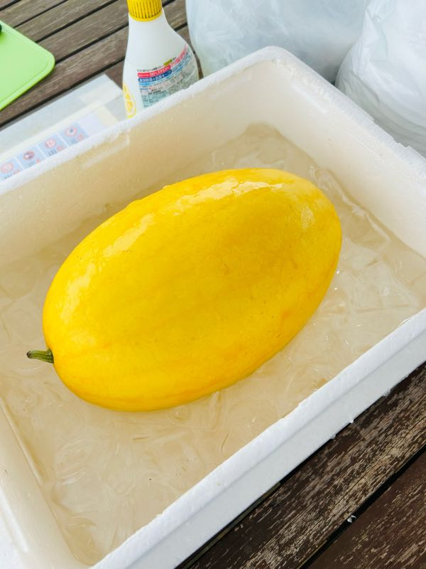 スイカ✣ℝさま♡ 楽天市場】鳥取県 ”大栄黒小玉スイカ” 秀品 3〜6玉 約10kg