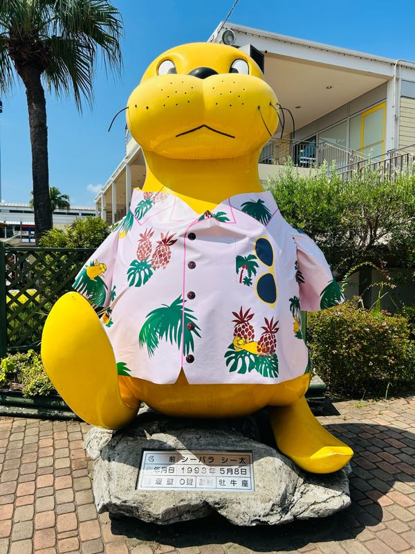 p1724209656344.jpg?alt=/photos