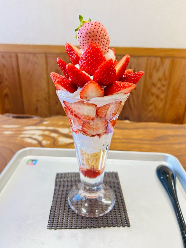 ⑲　いちごパフェ p1739417738759.jpg?alt=/photos
