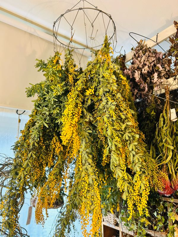 街角リポート - Fm yokohama 84.7 : ミモザのガーランド！