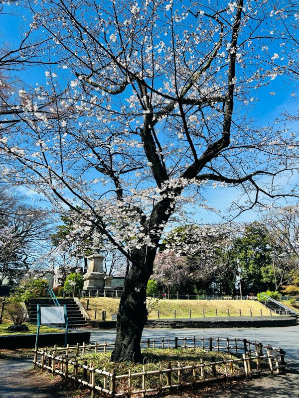 街角リポート - Fm yokohama 84.7 : 雨のはなきん！？桜木町駅！