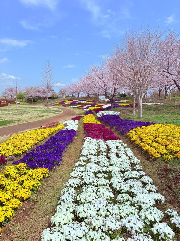 街角リポート - Fm yokohama 84.7 : 花菜ガーデン