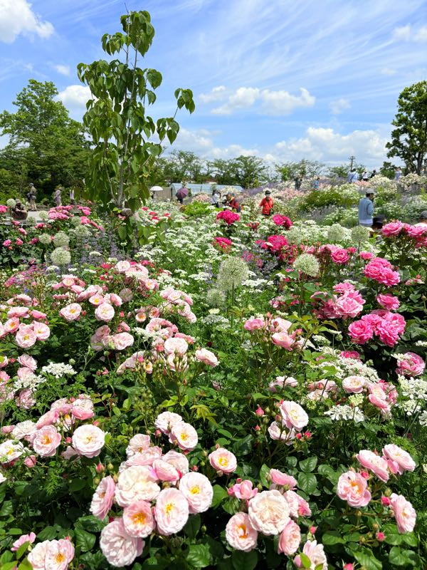 p1747281124789.jpg?alt=/photos