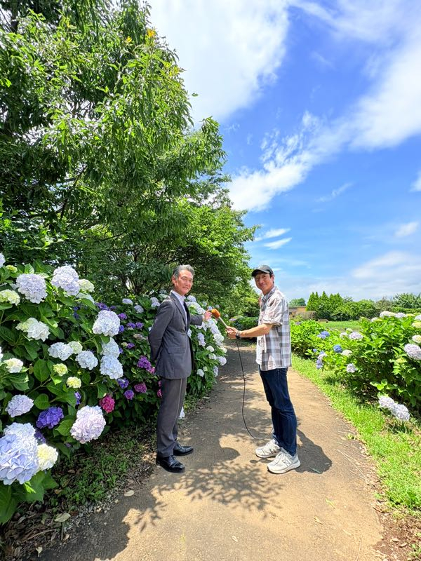 りさくま　rady花びらカーテン ララオリジナル＞窓辺をパッと華やかに。花びら舞うデザイン