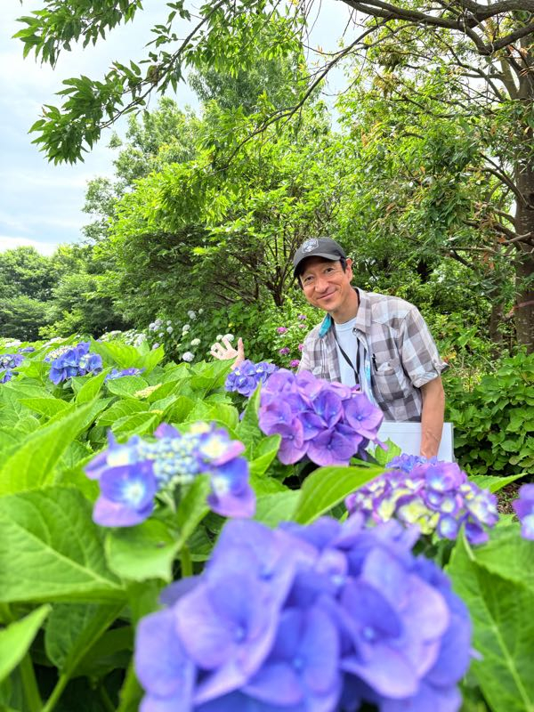 街角リポート - Fm yokohama 84.7 : アジサイ！花菜ガーデン！
