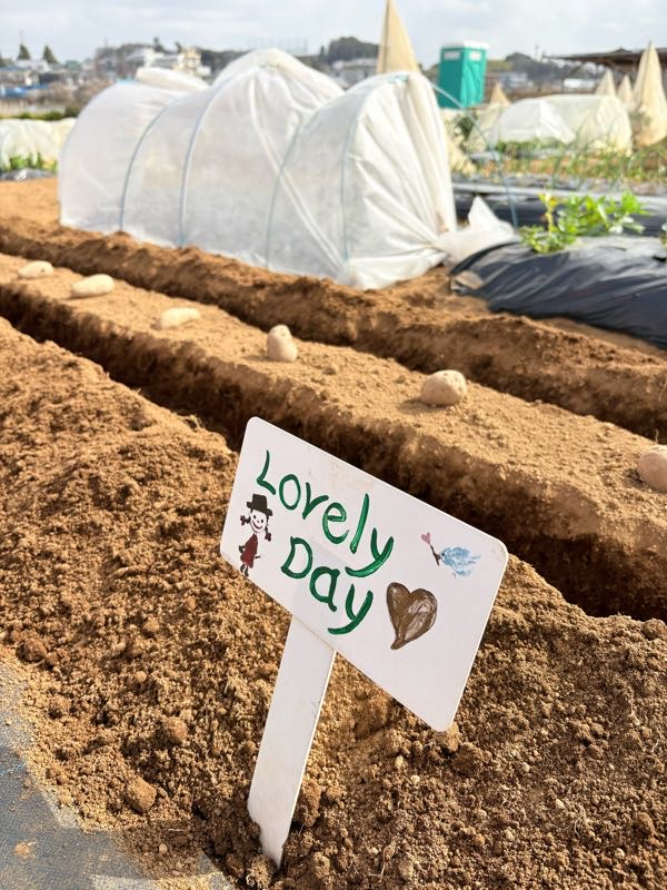 街角リポート - Fm yokohama 84.7 : 今年初！Lovelyファーム！