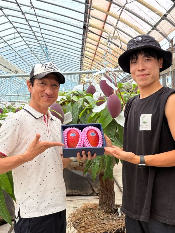 街角リポート - Fm yokohama 84.7 : マンゴーGOGO！2ndシーズン
