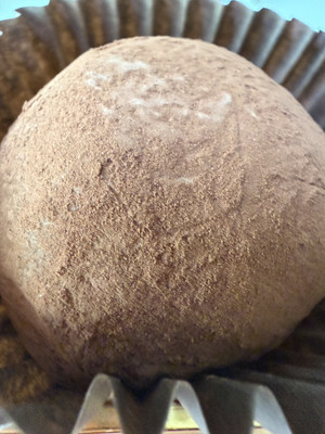 1768894925264 1768894925264