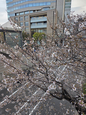 20260330_164640 20260330_164640