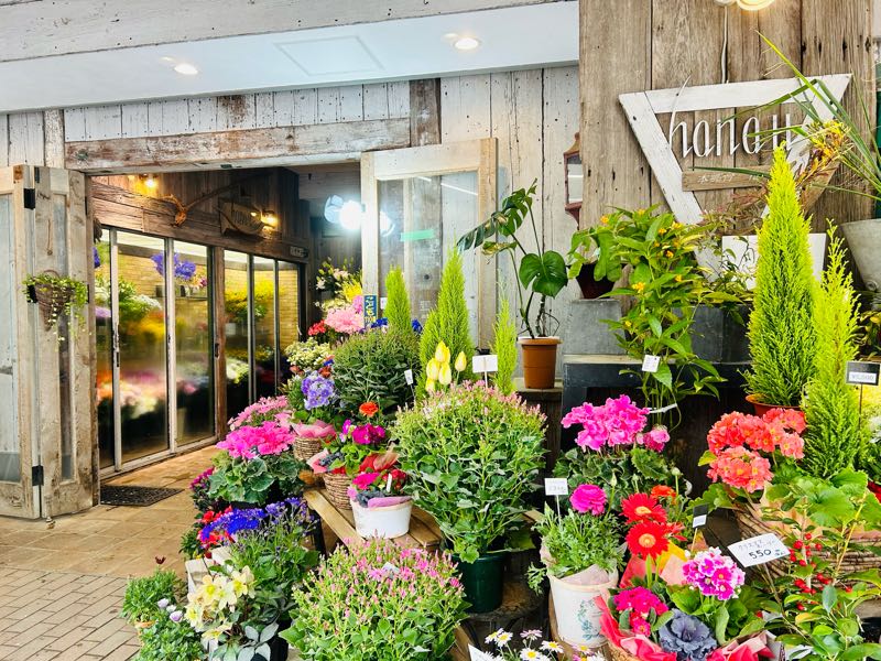 街角リポート - Fm yokohama 84.7 : 花に囲まれて！hanau cafe！